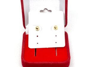 Brinco Circular Pequeno Banhado a ouro 18k