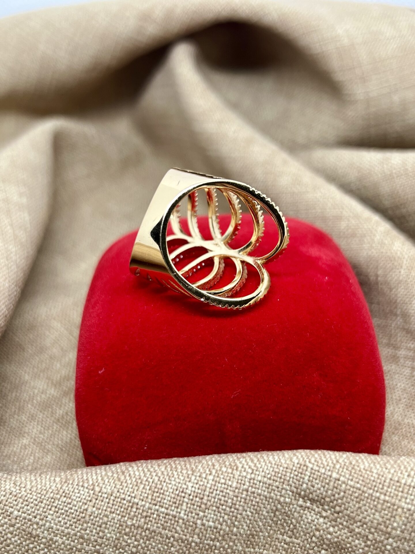 Anel Cravejado Em Microzircônia Banhado A Ouro 18k - Imagem 2